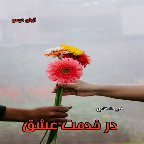 رمان در خدمت عشق  از ف_منتظری