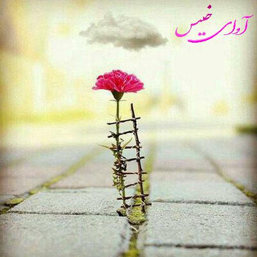 رمان زندگی دوباره از شیوا همتی رمان زندگی دوباره از شیوا همتی