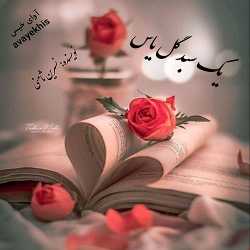 رمان یک سبد گل یاس از نسرین ثامنی رمان یک سبد گل یاس از نسرین ثامنی