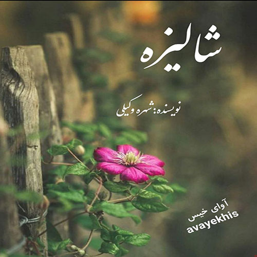 رمان شالیزه از شهره وکیلی لینک مستقیم رمان شالیزه از شهره وکیلی لینک مستقیم