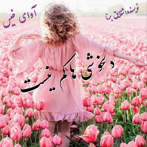 رمان دلخوشی ها کم نیست از صدیقه احمدی رمان دلخوشی ها کم نیست از صدیقه احمدی