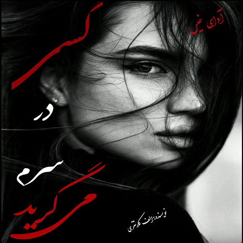 رمان کسی در سرم می گرید  از الف_کلانتری