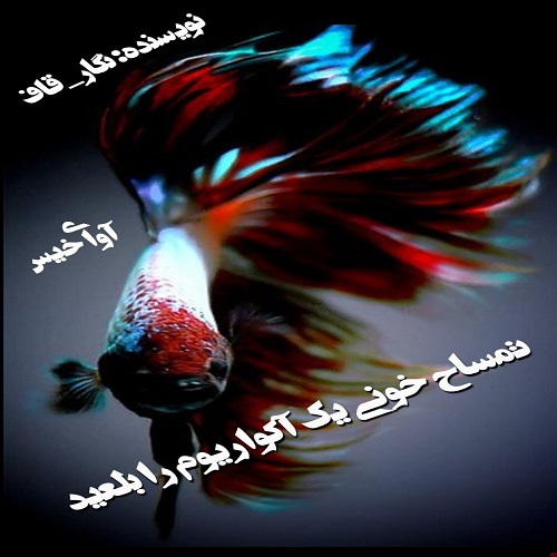 رمان تمساح خونی یک آکواریوم را بلعید از نگار_قاف رمان تمساح خونی یک آکواریوم را بلعید از نگار_قاف