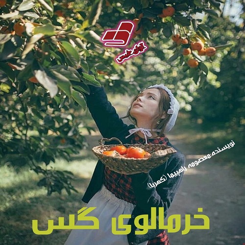 رمان خرمالوی گس از معصومه راهپیما (کهربا) رمان خرمالوی گس از معصومه راهپیما (کهربا)