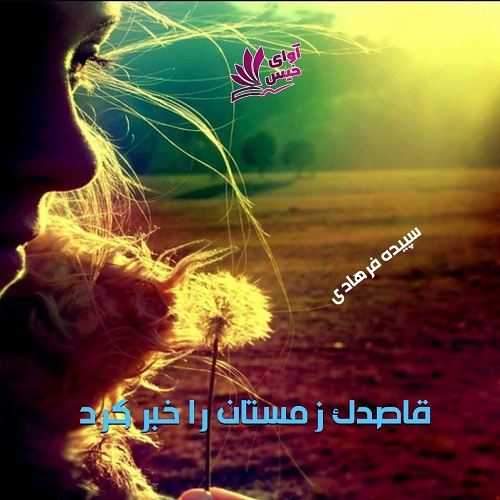 رمان قاصدک زمستان را خبر کرد از سپیده فرهادی رمان قاصدک زمستان را خبر کرد از سپیده فرهادی