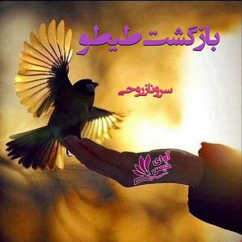 رمان برگشت تیتو  از سرو ناز روحی