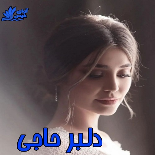 رمان دلبر حاجی   