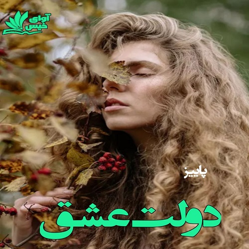 رمان دولت عشق از پاییز رمان دولت عشق از پاییز