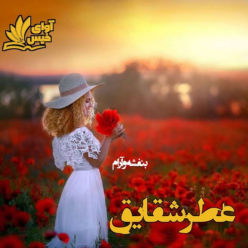 رمان عطر شقایق از بنفشه و آرام رمان عطر شقایق از بنفشه و آرام