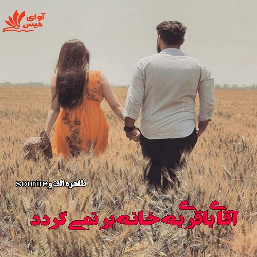 رمان آقای باقری به خانه بر نمی گردد  از طاهره الف و sourire 