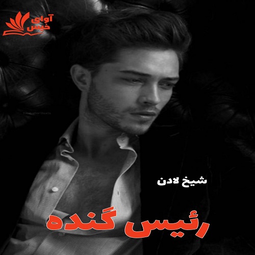 رمان رئیس گنده
