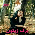 رمان برگ زیتون  از سارا جمشیدیان