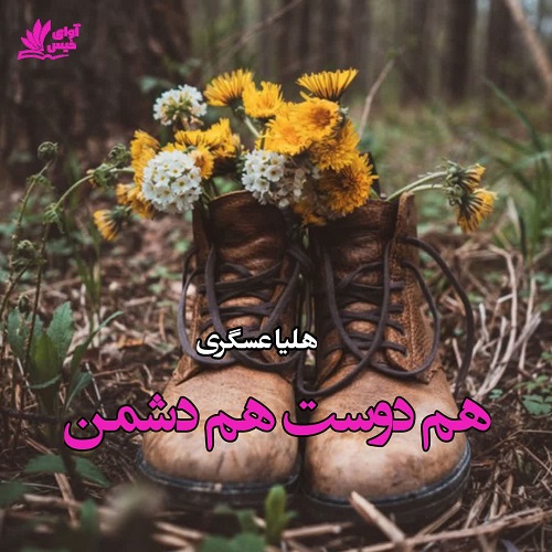 رمان هم دوست هم دشمن  از هلیا عسگری