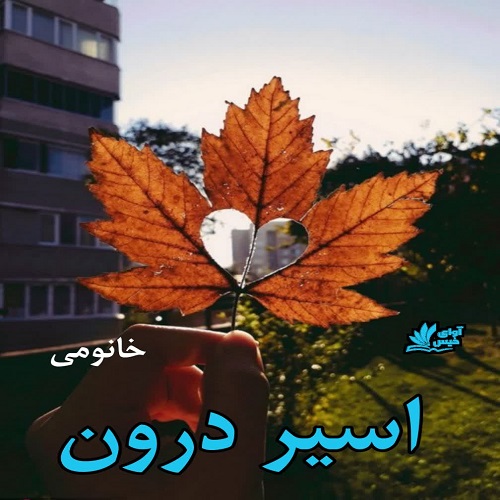 رمان اسیر درون  از خانومی