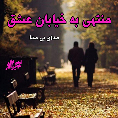 رمان منتهی به خیابان عشق  از صدای بی صدا