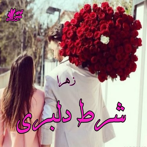 رمان شرط دلبری  از زهرا