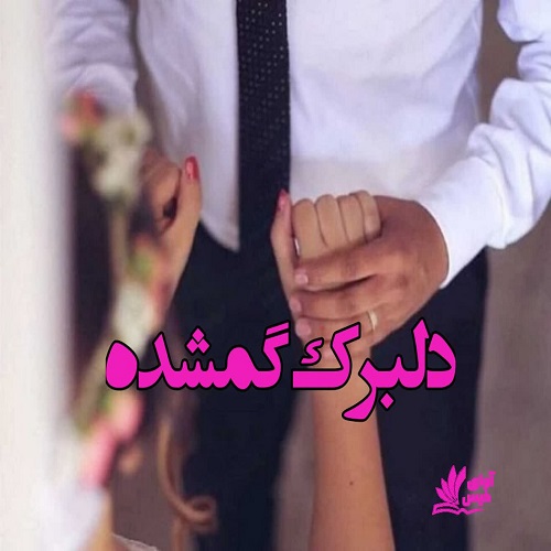 رمان دلبرک گمشده  از ناشناس