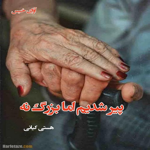 رمان پیر شدیم اما بزرگ نه  از هستی کیانی