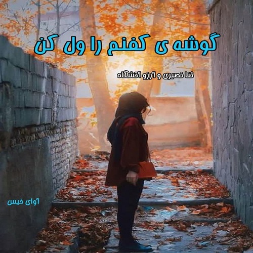 رمان گوشه کفنم را ول کن از ثنا نصیری و آرزو آتشگاه رمان گوشه کفنم را ول کن از ثنا نصیری و آرزو آتشگاه