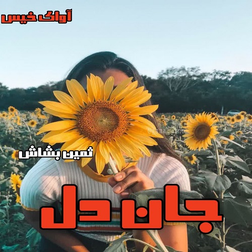 رمان جان دل از ثمین بشاش رمان جان دل از ثمین بشاش