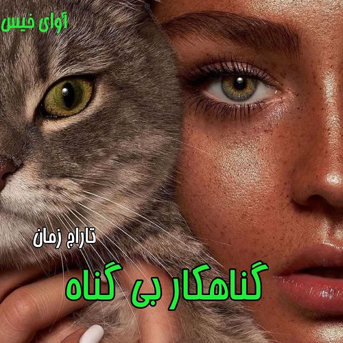 رمان گناهکار بی گناه  از تاراج زمان