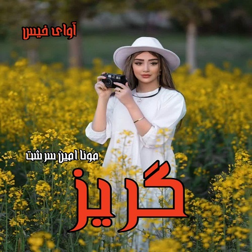 رمان گذر  از مونا امین سرشت
