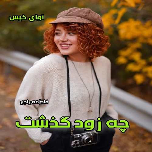 رمان چه زود گذشت  از فاطمه رنجبر