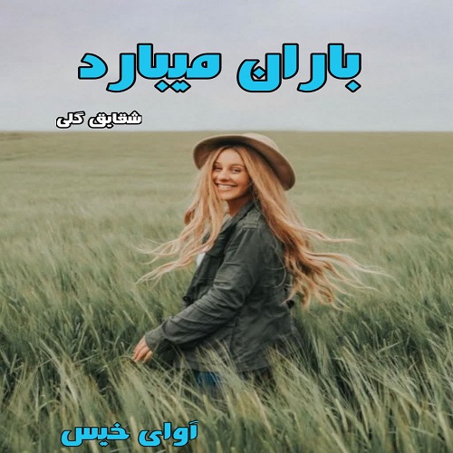 رمان باران میبارد  از شقایق گلی