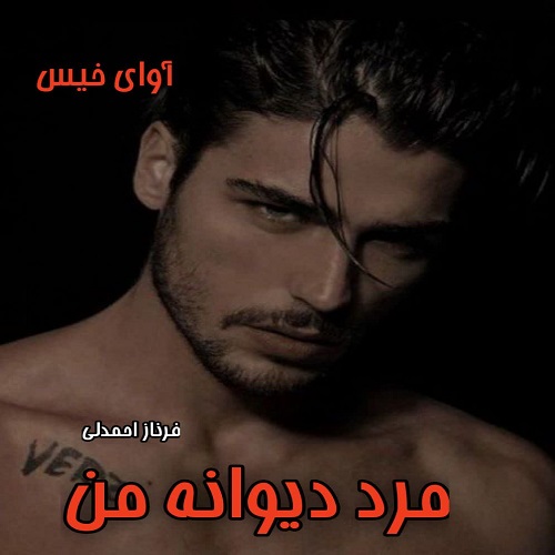 رمان مرد دیوانه من  از فرناز احمدلی