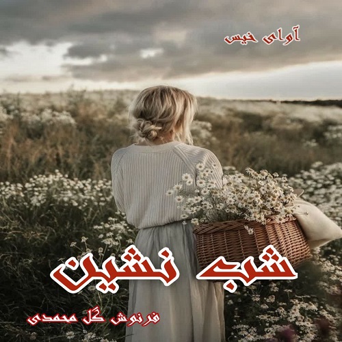 رمان شب نشین از فرنوش گل محمدی رمان شب نشین از فرنوش گل محمدی