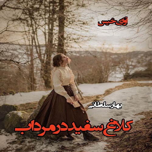 رمان کلاغ سفید در مرداب از بهار سلطانی رمان کلاغ سفید در مرداب از بهار سلطانی