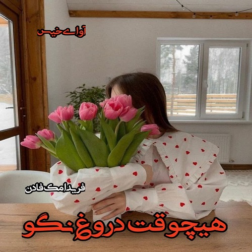 رمان هیچوقت دروغ نگو  از فریدا مک فادن