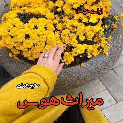رمان میراث هوس  از مهین عبدی