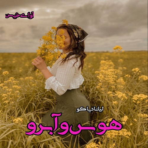 رمان هوس و آبرو (جلد سوم)  از لیانا دیاکو