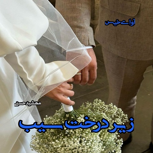 رمان زیر درخت سیب از مهشید حسنی رمان زیر درخت سیب از مهشید حسنی