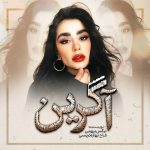 رمان آگرین  از نرگس برزویی