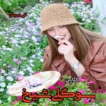 دانلود رمان سوگلی شیخ pdf  از شاین