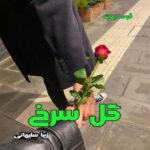 دانلود رمان گل سرخ از زیبا سلیمانی pdf