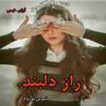 دانلود رمان راز دلبند از شیرین نورنژاد pdf